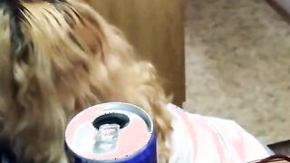 Nerdy red haired loves munching a hard shaft