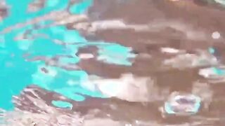 Mofos - Gigantic breasts by the pool get caught on tape