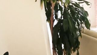 Mofos - I Know That sluts - Freshly Dumped and Ready to Fucked! starring Madison