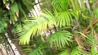 Mofos - Latina Sex Tapes - Kinky Hot Little Flasher starring Alea Love