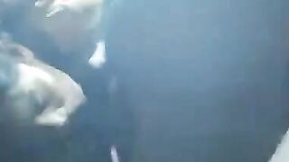 Desi Indian sucking 2