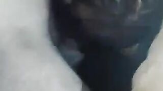 Desi Indian sucking 2