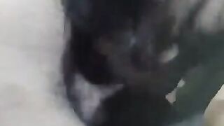 Desi Indian sucking 2