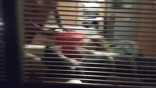 Amateur Skank Fuckong Ex-Wife Caught Cheating like a Whore Pt1