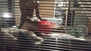 Amateur Skank Fuckong Ex-Wife Caught Cheating like a Whore Pt1