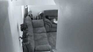 Black 19 year mature gets abused & face plowed by her step