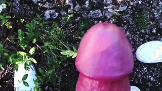Big boobs and wet pussy Creampie