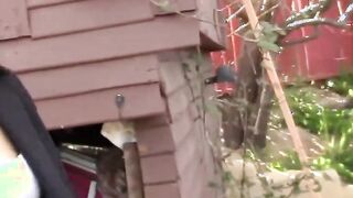 PropertySex - Rookie Real Estate Agent Fucks at Open House
