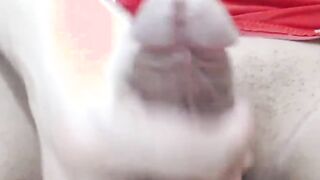 Asian shemale jerk off big dick on webcam