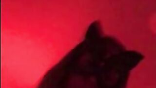 Billionaire fucking adorable sweet babe trying bdsm