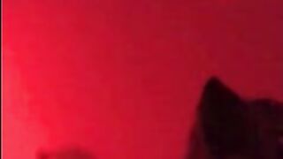 Billionaire fucking adorable sweet babe trying bdsm