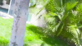 three sexy teens worship a massive cock