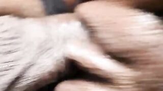 LT hammering that petite ebony pornstar september reign vagina