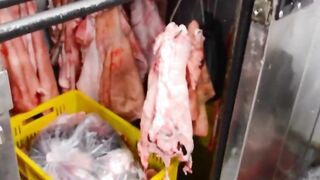 CARNE DEL MERCADO - (Charlotte Franco & Alex Moreno) Bae Colombiana Wnats