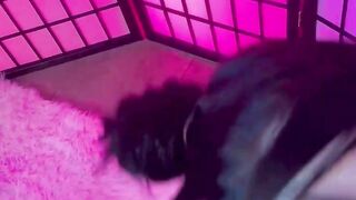 18 Yo Teen Zumershu DESTROYED Fucked HARD By A Big Cock and Filled With Cum