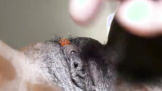penis sucker chocolate sensation porsha doll loves having fun with her
