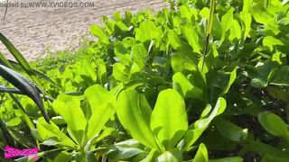 Quick oral sex into the bush - Solazola