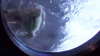 Amateur Bae blowing off penis and fucking in the outside place