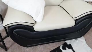 Freaudian Slip