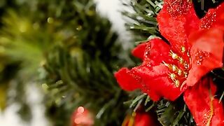 Dick Under The Tree - S11:E9