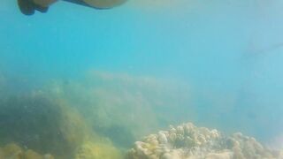 ENJOY Booty Plug IN and OUT among Fish n Corals
