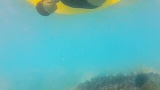 ENJOY Booty Plug IN and OUT among Fish n Corals