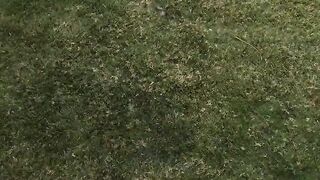 PASSION-HD Blonde Nailed With Cum Splash Facial Inside Backyard