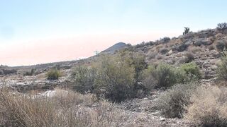 open desert sex fuck for milfs