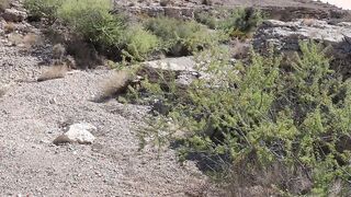 open desert sex fuck for milfs