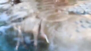 Katee Life Big Tits Underwater in pool