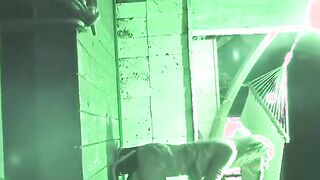 blowjob naughty teens hide and seek large dick