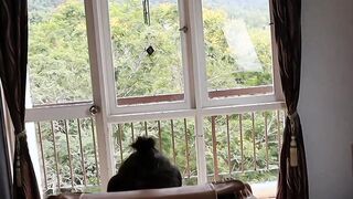 Another Day, Another Sucking Off! - Julia Vearth & Alex Vearth