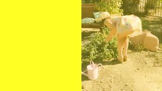 Vulgar MILF Cherie DeVille Blows real Stepson outdoors