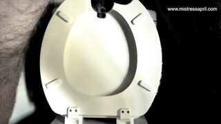 Dom Gf April - slave chastity cock and ass