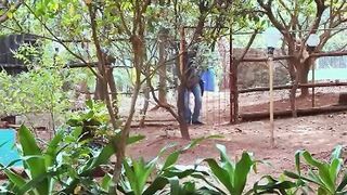 Maa Ka Naka Ullu Web Series 2023 more video join our telegram channel @desiweb2023