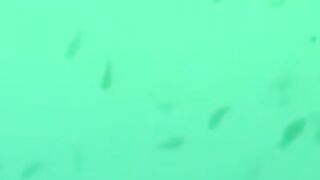 EXPLOSIVE UNDERWATER ACTION!