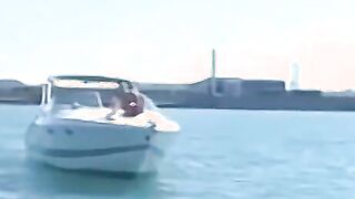 A Wild Time Out on The Bay - A Wild Time Out on The Bay
