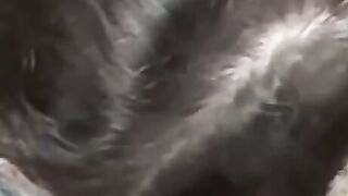 ALYSSA UNLEASHES HER FURY Insatiable Sexy Xxx Delivers On Her TWO Giant Cock Cravings  