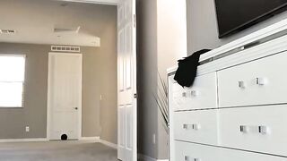 BANK ON IT Joslyn James Deluxe Tipassistant