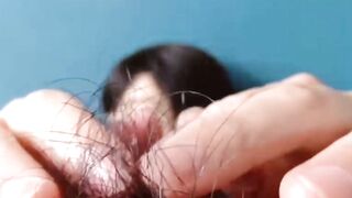 UNBELIEVABLE! Nicole Titzes Pussy Hair Inferno  Watch Her Get Dirty in 4K