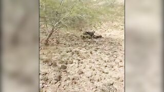 Desi Indian Outdoor sex for more video join our telegram channel @pbntime