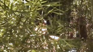 18yo 18 yo homosexual lovers boned anal outdoors inside forest