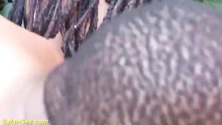 fat black fetish bbw gets creamed
