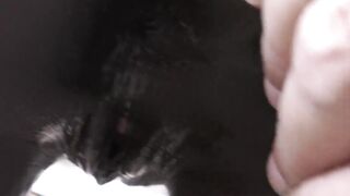 Young ebony doggy style in the kitchen