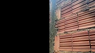 VIZINHA GOSTOSA MENINA NOVINHA OFERECI 200 CONTO METI NELA ATRAS