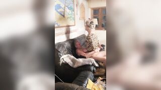 Just a little love video