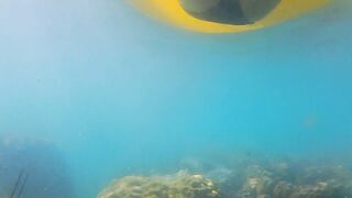 ENJOY Ass Plug IN and OUT among Fish n Corals