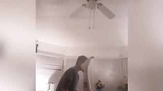 Vixen1217 has huge african cock boytoy spend the night breeding