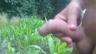 wanking in the cornfield and cumming in the woods 2