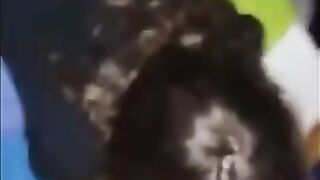 ellhnida poutanara sta tessera